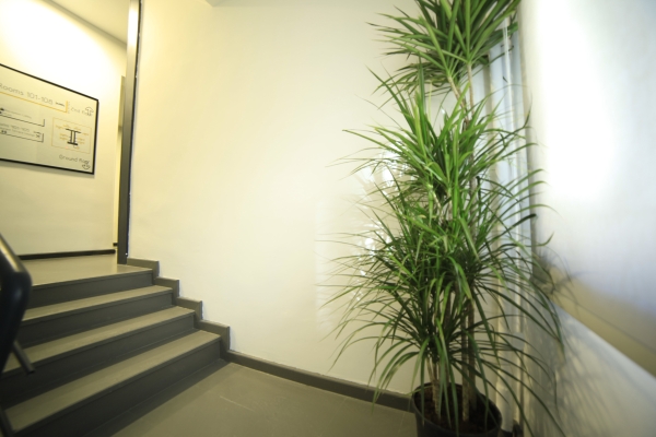Inn 65 Budget